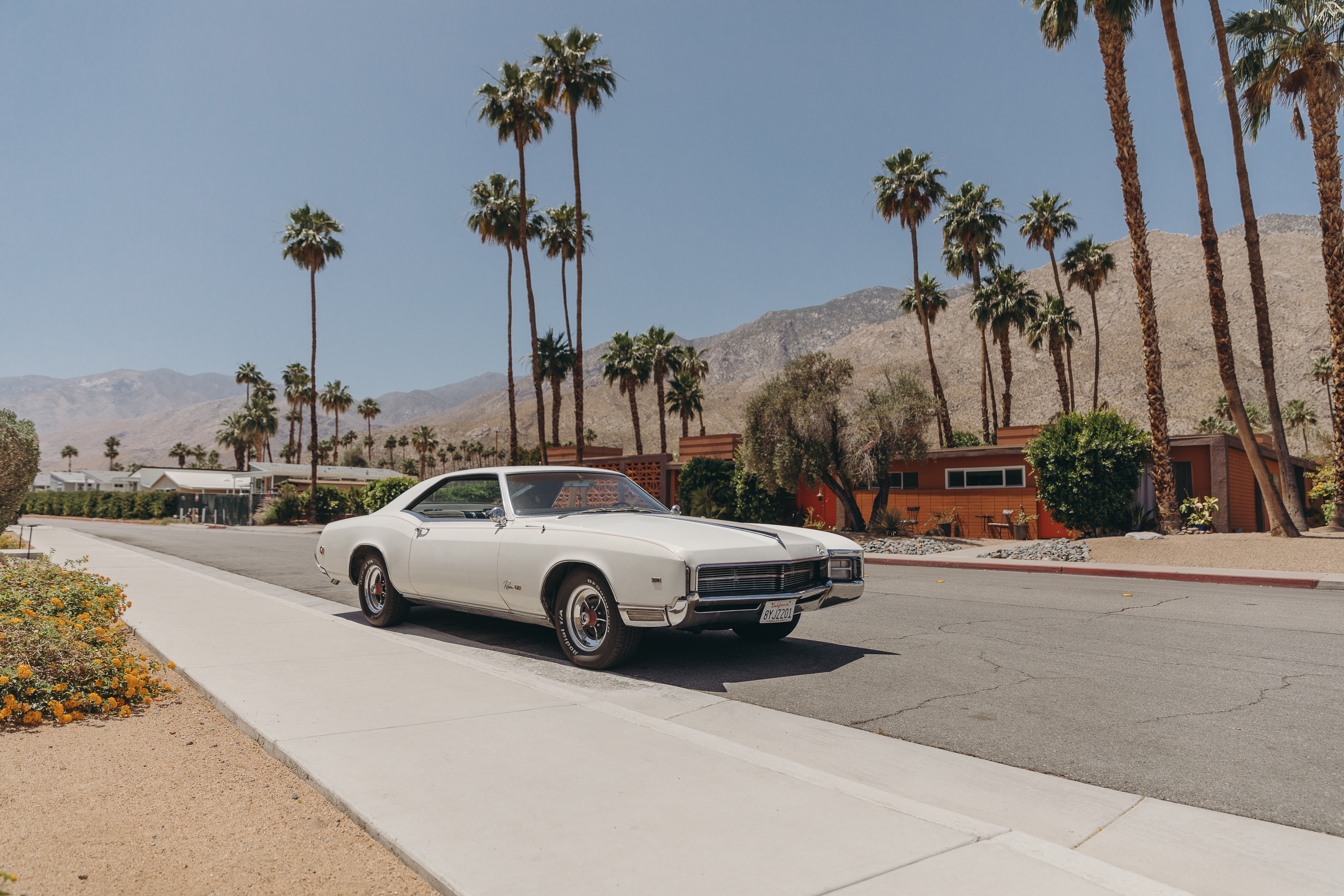 Sara from Collage Vintage at beautiful Palm Springs, California.